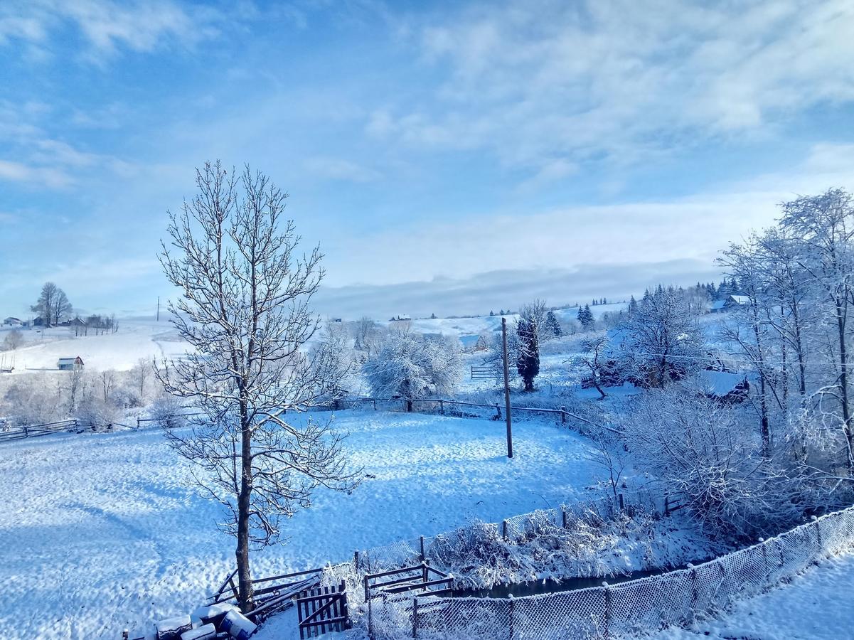 Дзвін Карпат Villa Lazeshchyna Eksteriør bilde