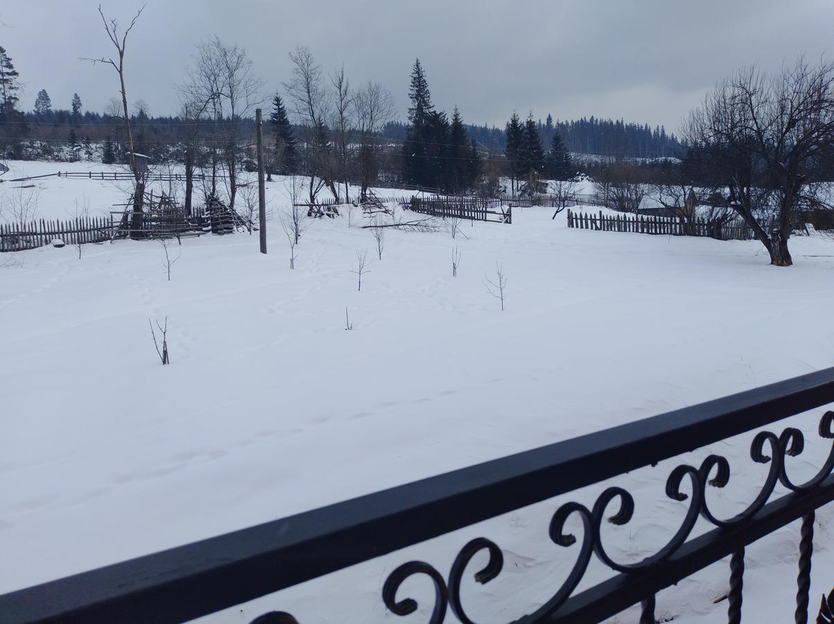 Дзвін Карпат Villa Lazeshchyna Eksteriør bilde