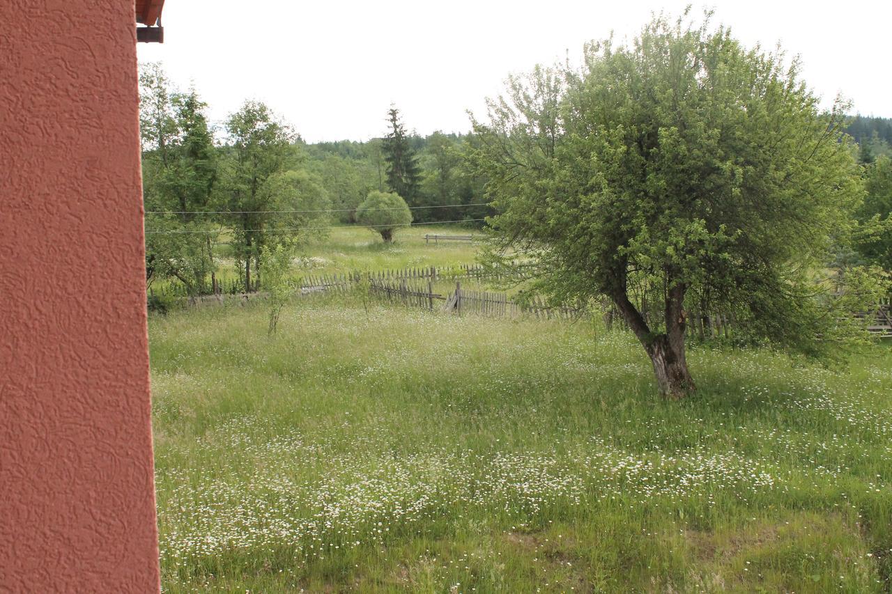 Дзвін Карпат Villa Lazeshchyna Eksteriør bilde